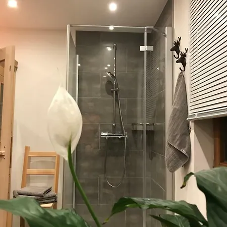 Foersterhaus * Grossarl