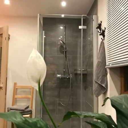 Försterhaus * Großarl