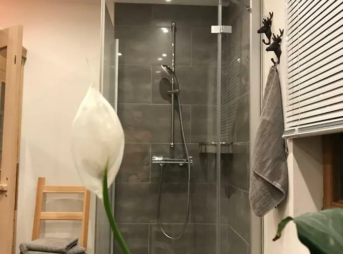 Foersterhaus * Grossarl